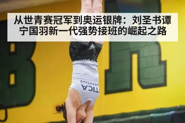 从世青赛冠军到奥运银牌:刘圣书谭宁国羽新一代强势接班的崛起之路