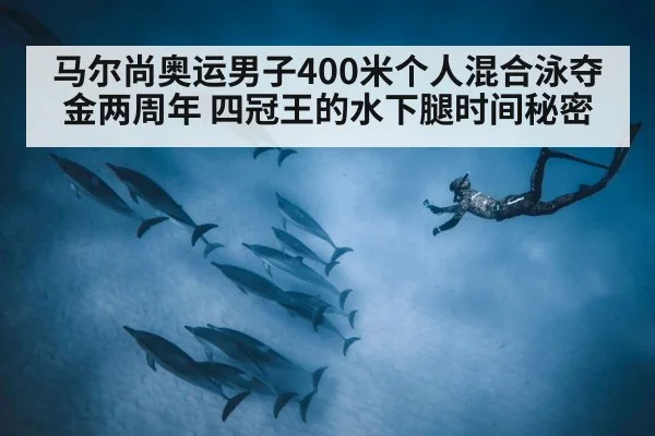 马尔尚奥运男子400米个人混合泳夺金两周年 四冠王的水下腿时间秘密
